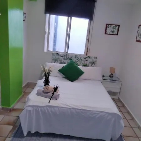 Séjour chez l'habitant Muy Centrica. Grenade